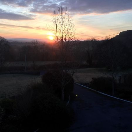 Corofin  The Cottage @ Burkedale House מראה חיצוני תמונה