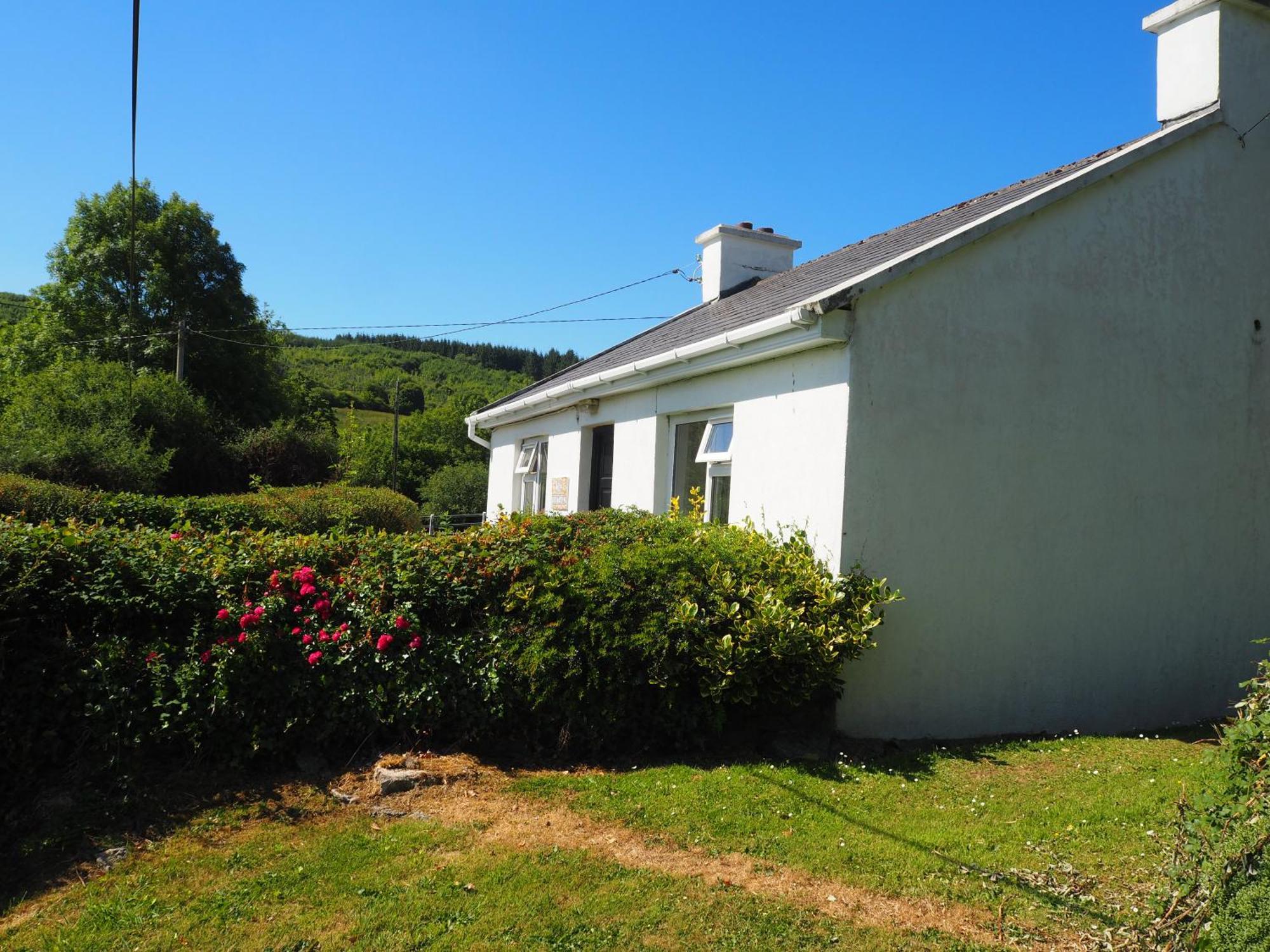 Corofin  The Cottage @ Burkedale House מראה חיצוני תמונה