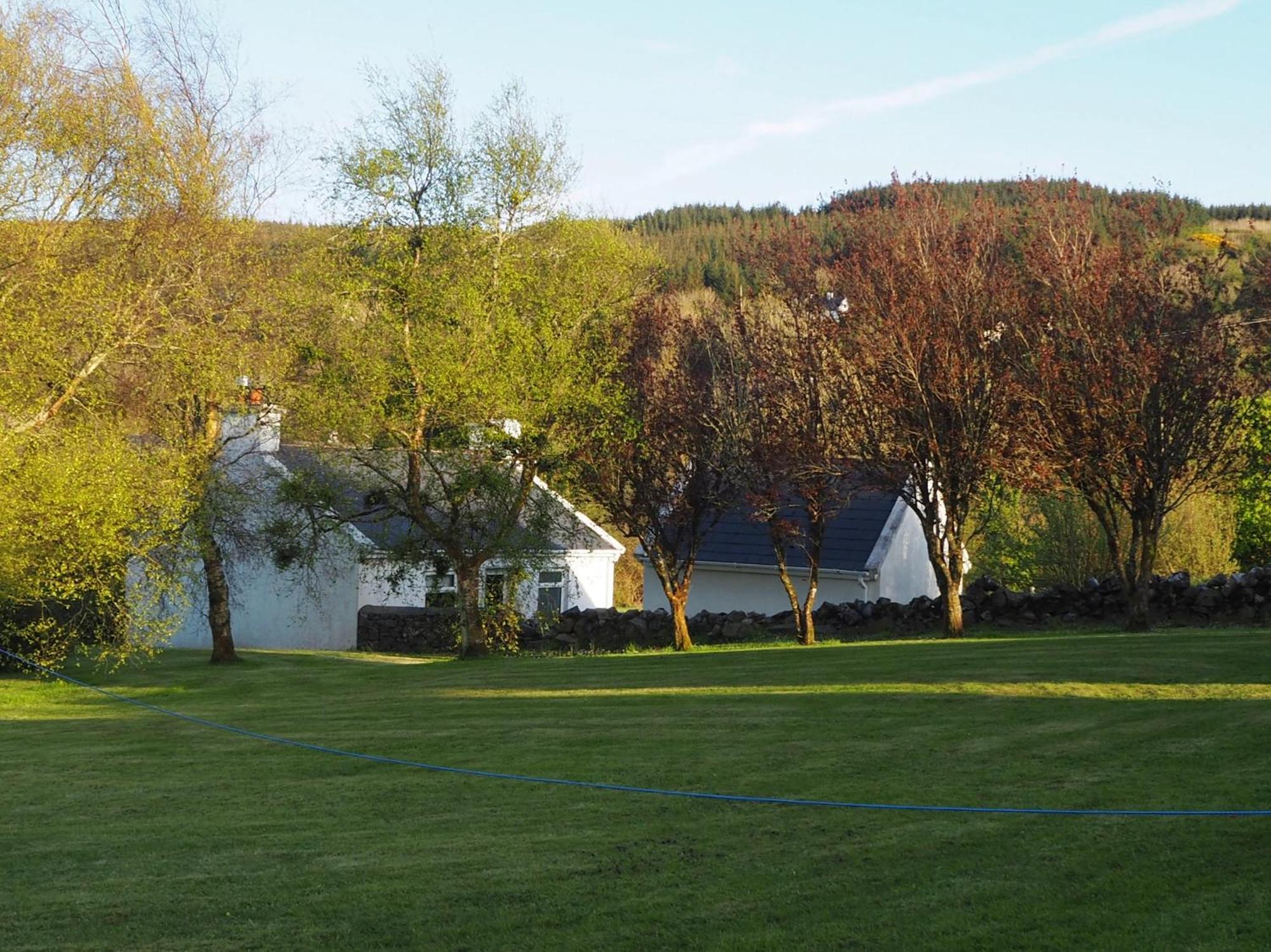 Corofin  The Cottage @ Burkedale House מראה חיצוני תמונה