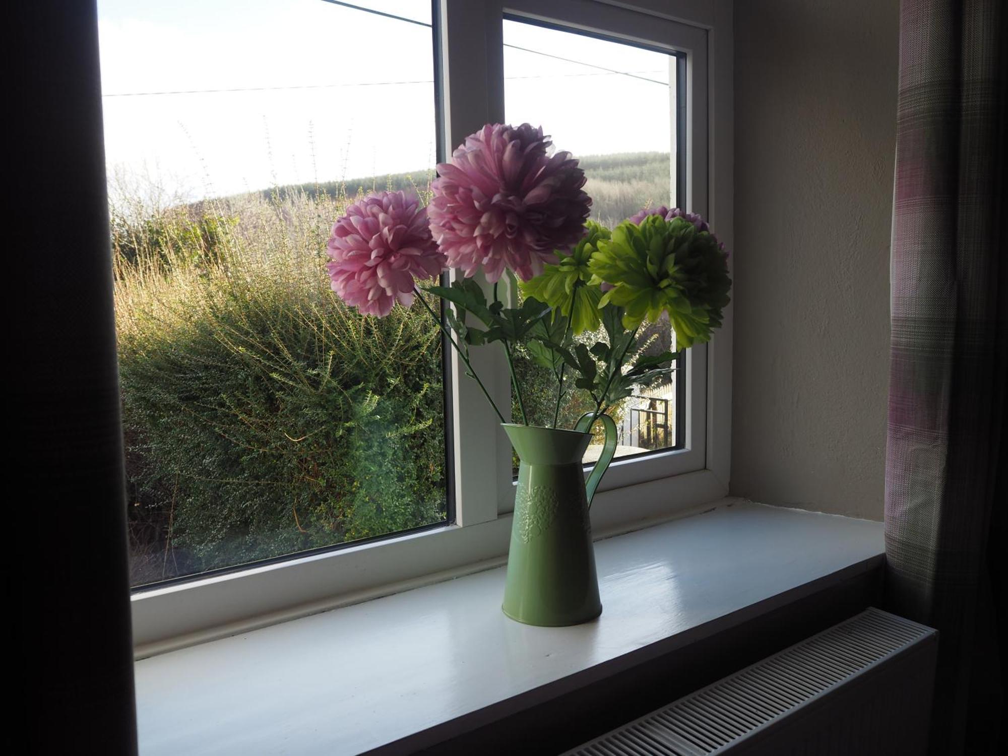 Corofin  The Cottage @ Burkedale House מראה חיצוני תמונה