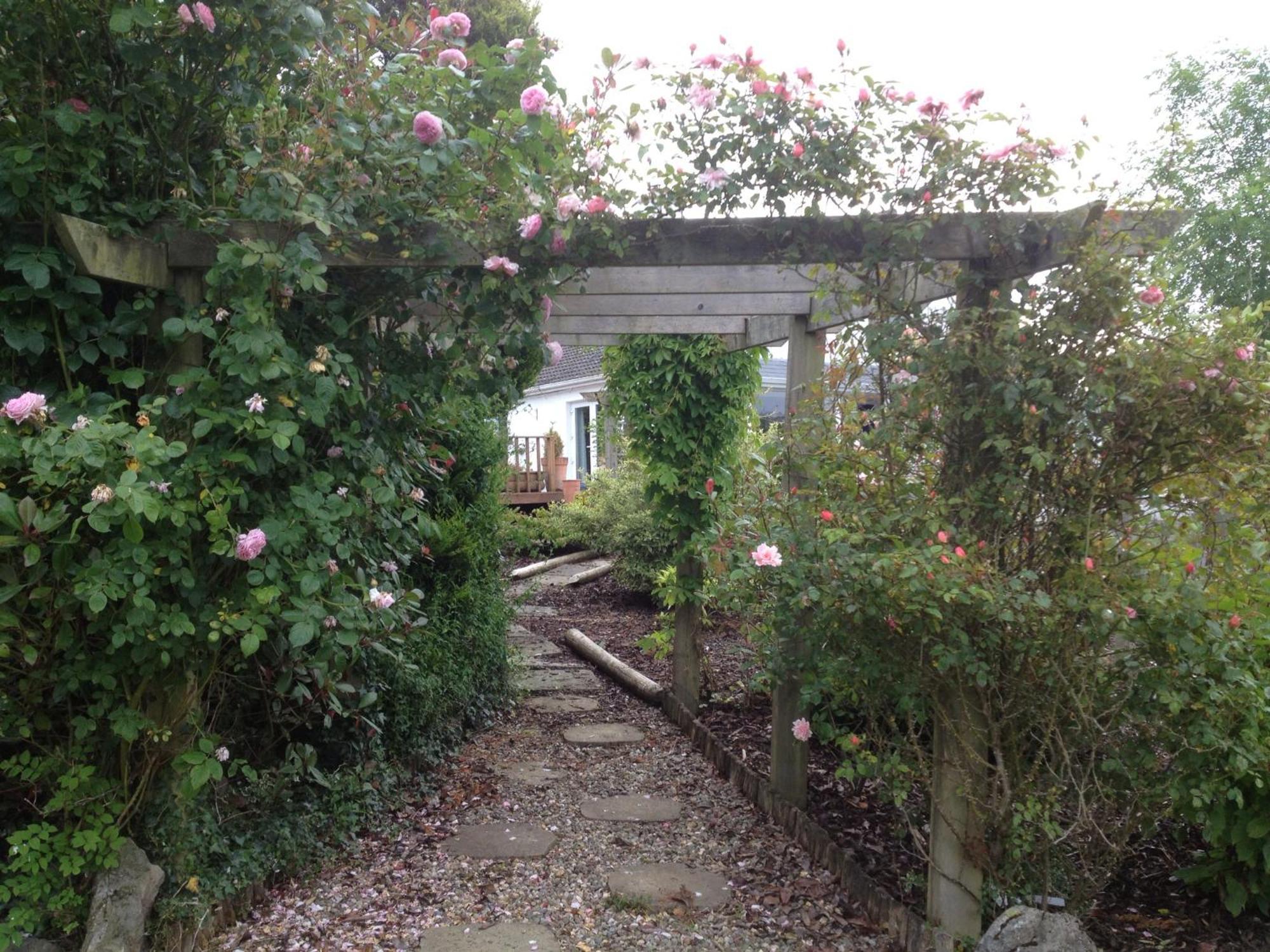 Corofin  The Cottage @ Burkedale House מראה חיצוני תמונה