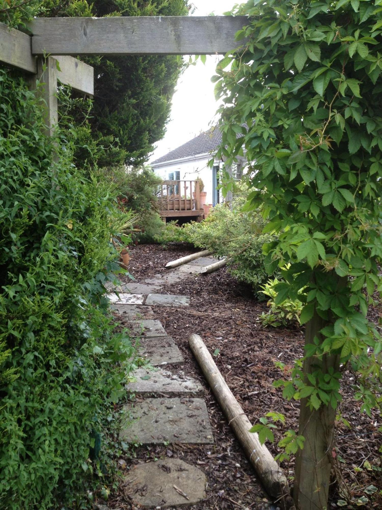 Corofin  The Cottage @ Burkedale House מראה חיצוני תמונה